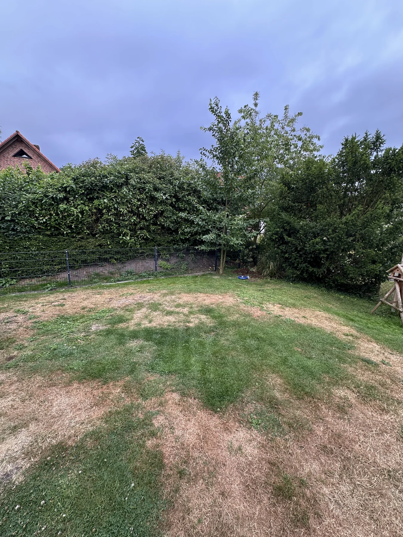 Nachher: Gartenblick zur Grundstücksseite